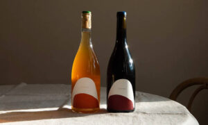 Unveiling the Diversity of Italian Natural Wines